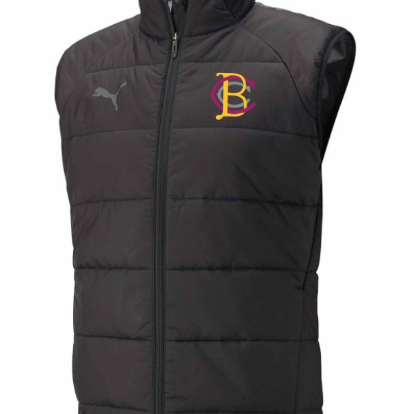 Teamliga Puma Vest